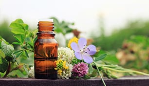 phytotherapie-volle-pflanzenkraft