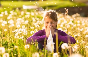 heuschnupfen-gesundheits-blog